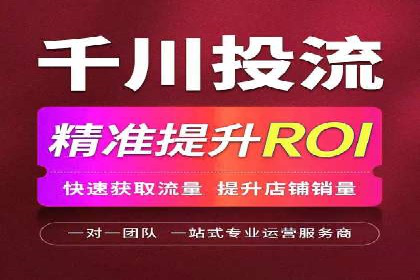 竞价广告的深度解析：以一知名品牌为例